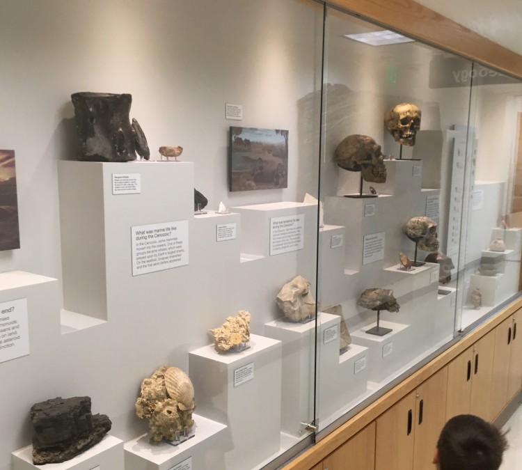 Geology Museum (Rexburg,&nbspID)